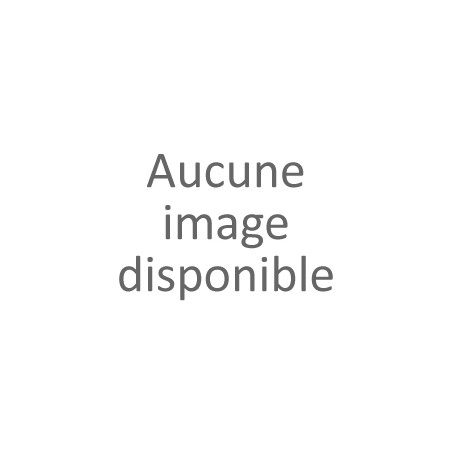 Dôme Thermique bi-spectrum DS-2TD1217-3/PA(O-STD) 305400839