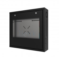 Coffret mural CCTV/DVR/NVR porte pleine profondeur 200 noir monté