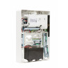 QOLSYS : IQPRO CENTRALE D'ALARME INTRUSION MIXTE 128Z PLASTIQUE POUR ALARM.COM